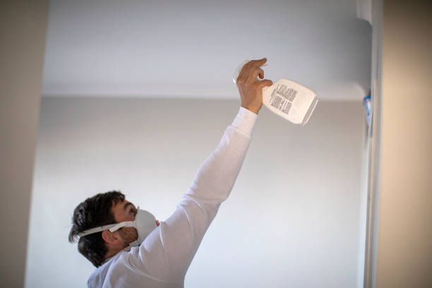 Best Mold Testing  in Tigerville, SC