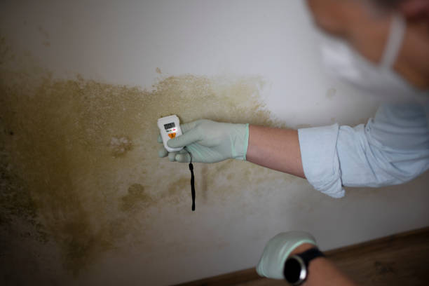 Crawl Space Mold Removal in Tigerville, SC